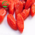 Bayas de Goji rojas secas al por mayor orgánicas certificadas al por mayor